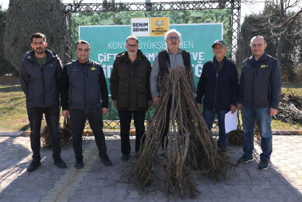 Konya'da 4 Farklı Fidan! Üreticinin Kartelası Genişliyor