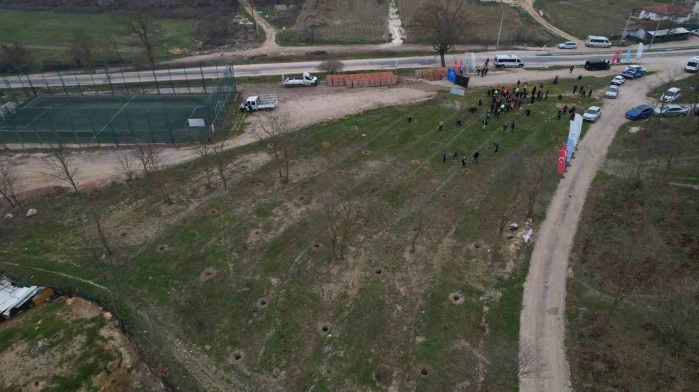 Unçukuru'na orman geliyor