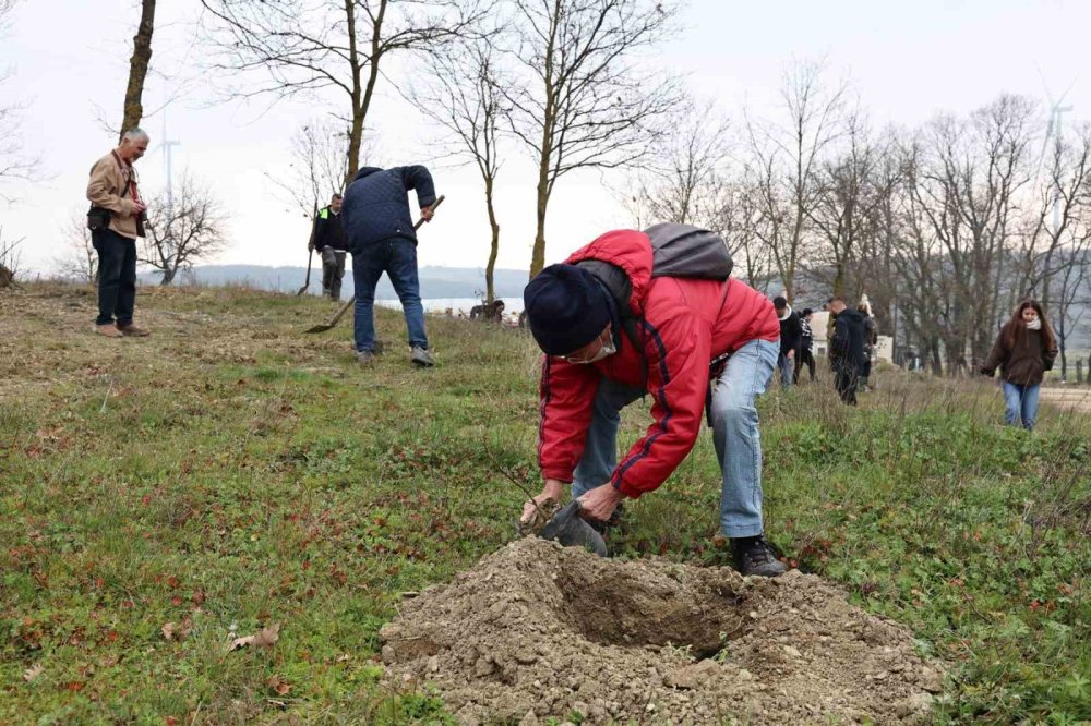 Unçukuru'na orman geliyor