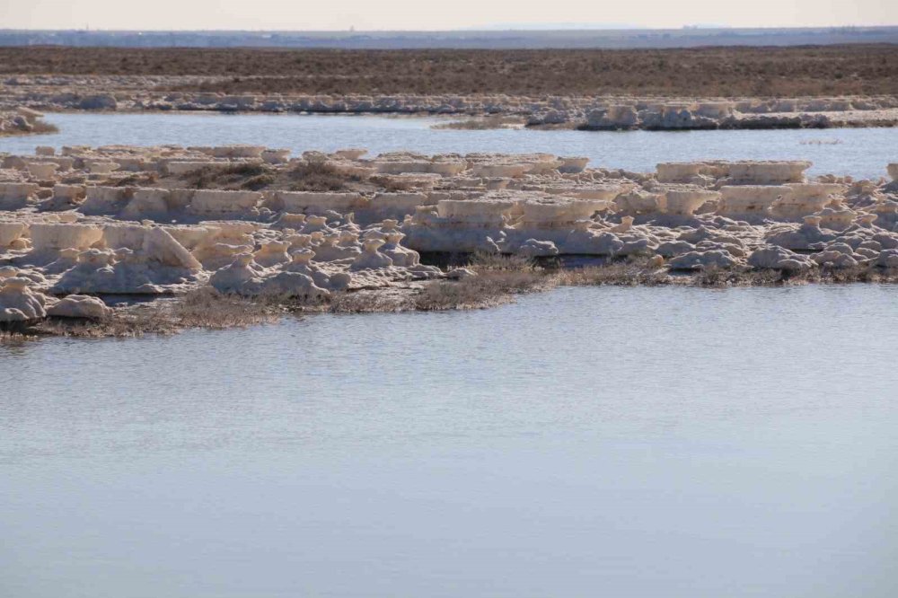 Tuz Gölü'nün Aksaray yakasında canlanma var