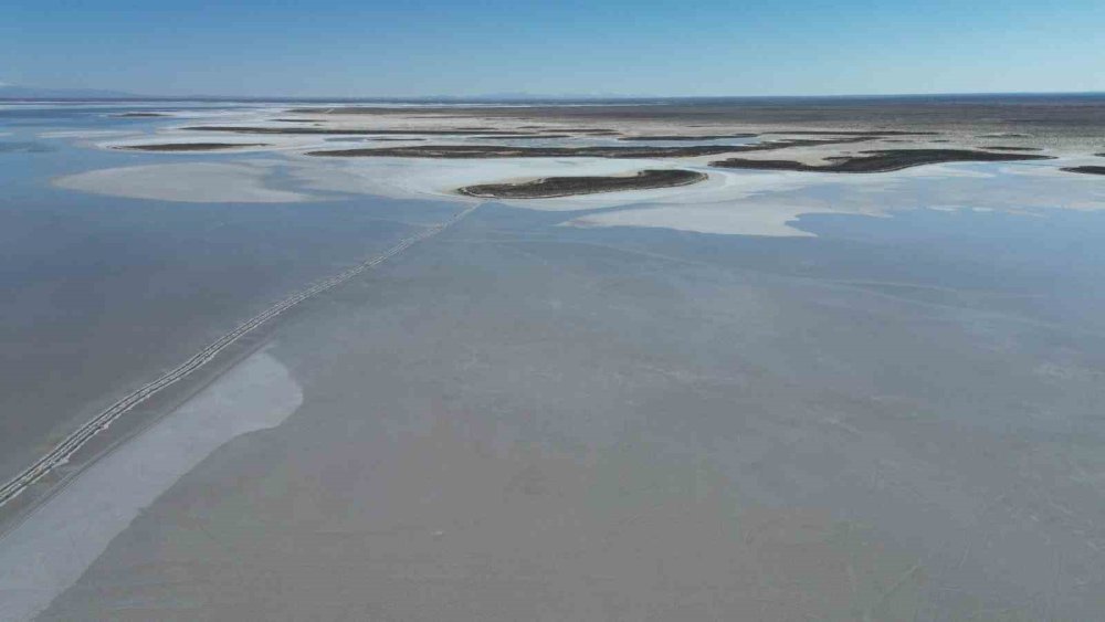 Tuz Gölü'nün Aksaray yakasında canlanma var
