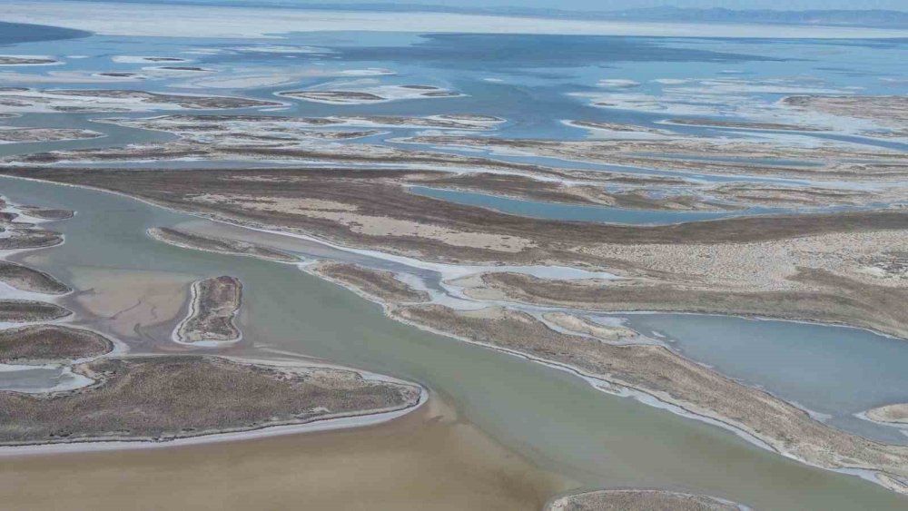 Tuz Gölü'nün Aksaray yakasında canlanma var