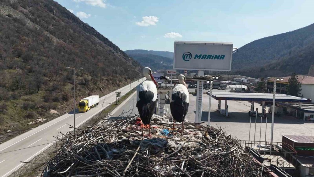 Ankara'ya bahar geldi