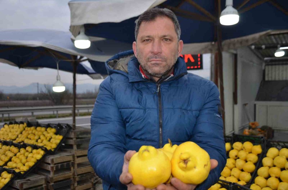 Fiyatlar ayvayı yedi