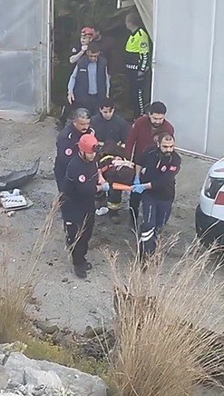 Muz bahçesine uçtu yaralı kurtuldu