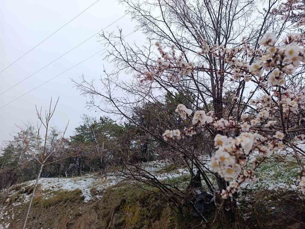 Afyonkarahisar’a kar yağdı