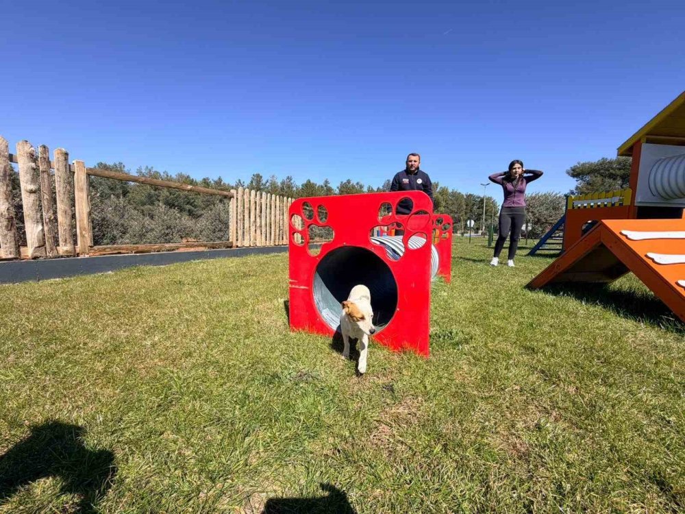 Antalya'nın ilçesine hayvan parkı