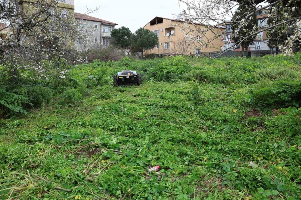 Kocaeli'deki belediyede yeni dönem! Otları robot biçecek