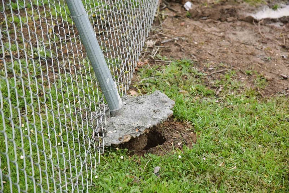 Belediye tesisine sahip çıkamadı