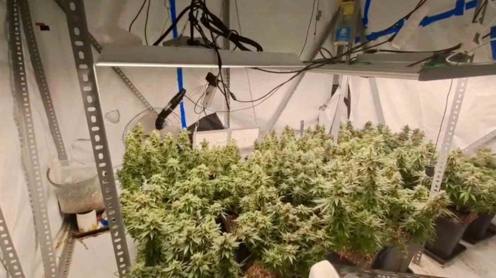 Kocaeli’de 40 adrese baskın: 36 gözaltı, evler seraya çevrilmiş