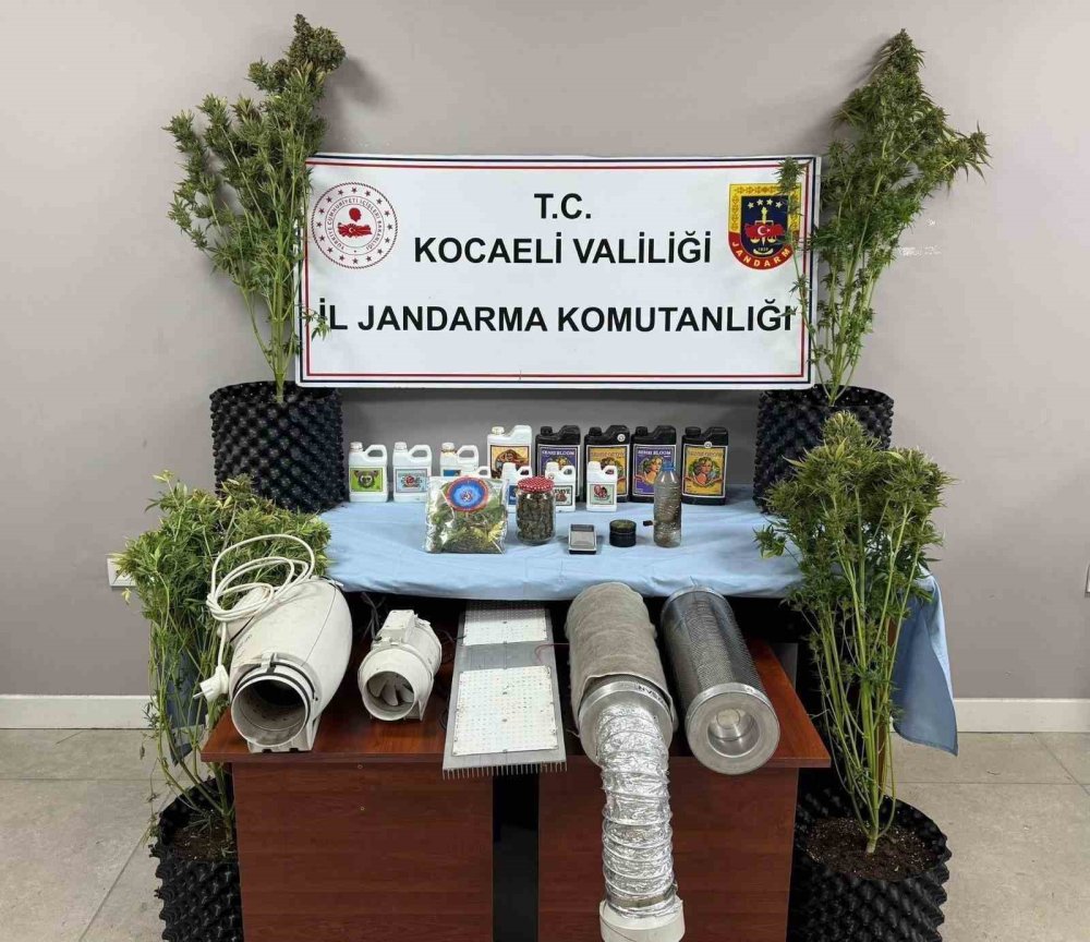 Kocaeli’de 40 adrese baskın: 36 gözaltı, evler seraya çevrilmiş