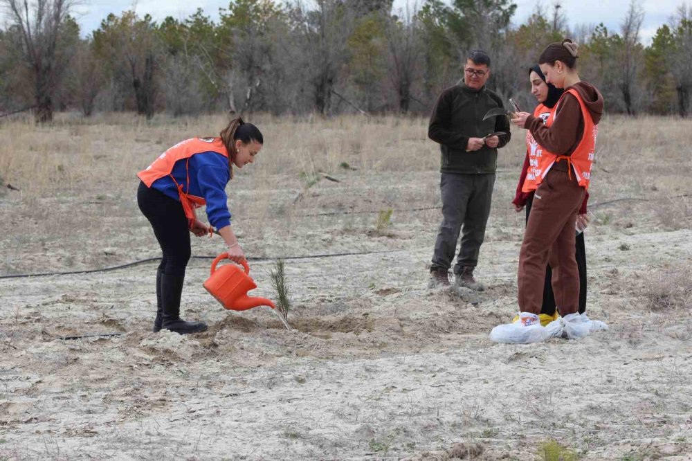 Konya'da karınca mücadelesi! Erozyon sürüyor ağaç dikimi devam ediyor