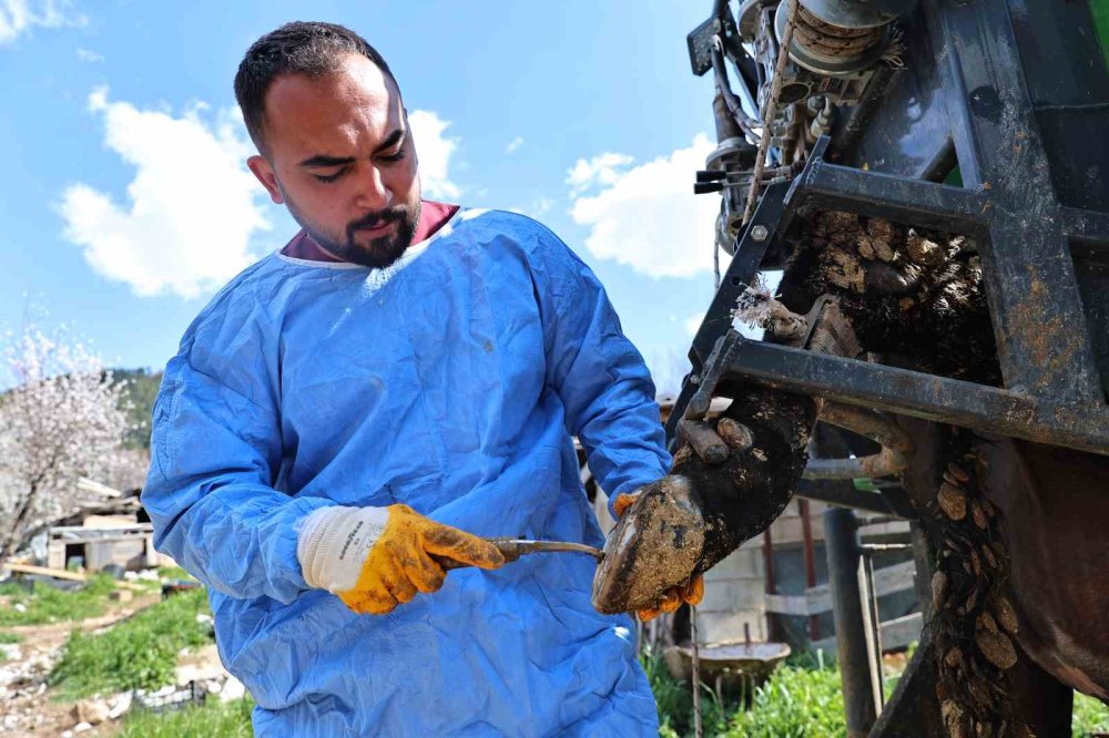 Dağın başına gidip tırnak bakımı yaptılar