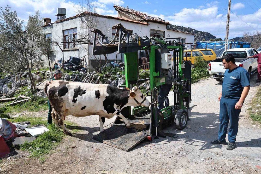 Dağın başına gidip tırnak bakımı yaptılar