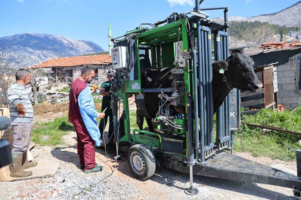 Dağın başına gidip tırnak bakımı yaptılar