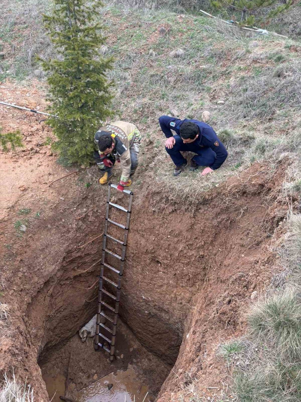 Defineci açtı köpek düştü belediye kurtardı