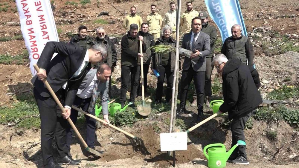 Küllerinden doğan şehir: Dağlar nakış gibi işlendi