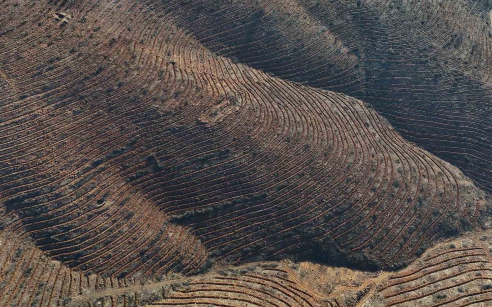 Küllerinden doğan şehir: Dağlar nakış gibi işlendi