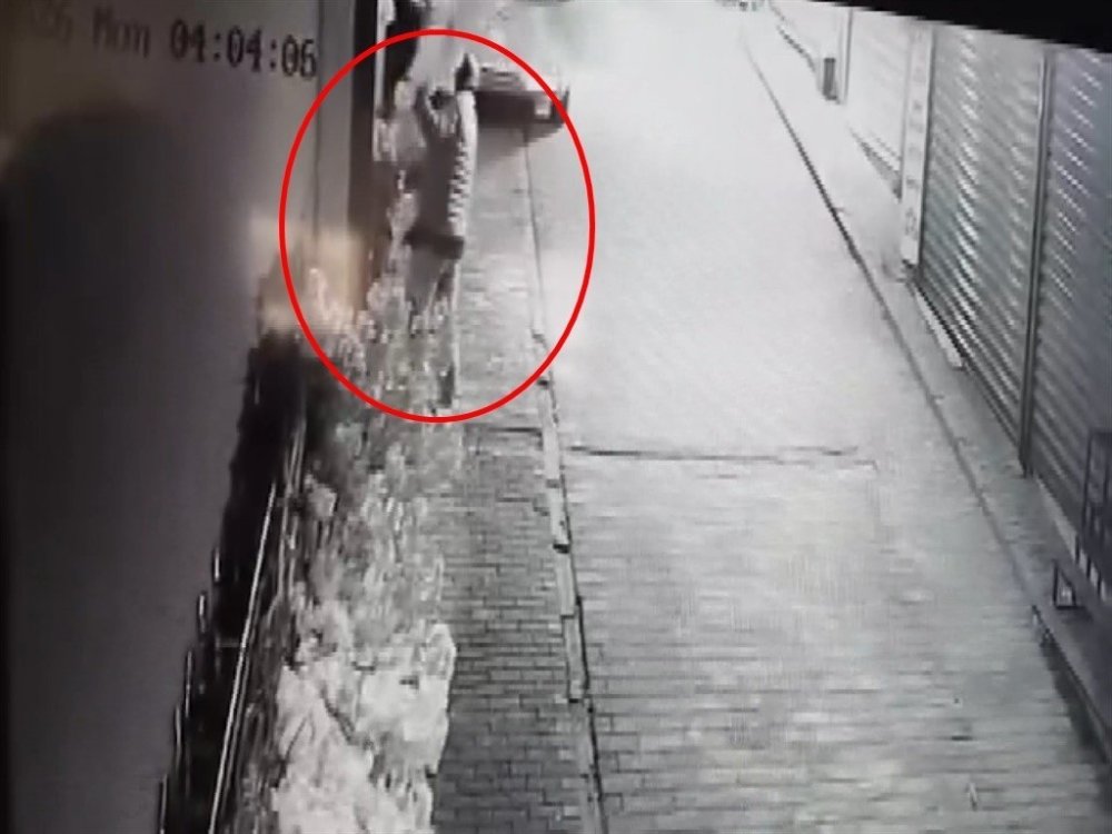 15 bin liralık ağacı sırtlayıp gitti