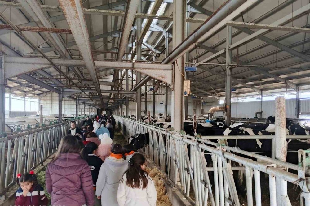 Geleceğin çiftçileri tarımı yerinde öğreniyor