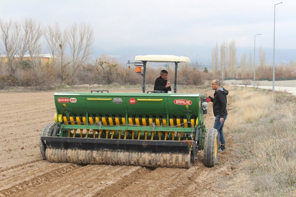 Niğde'de Tarıma Kadın İmzası! 5 Dekarlık Alanda Çörek Otu Ekildi
