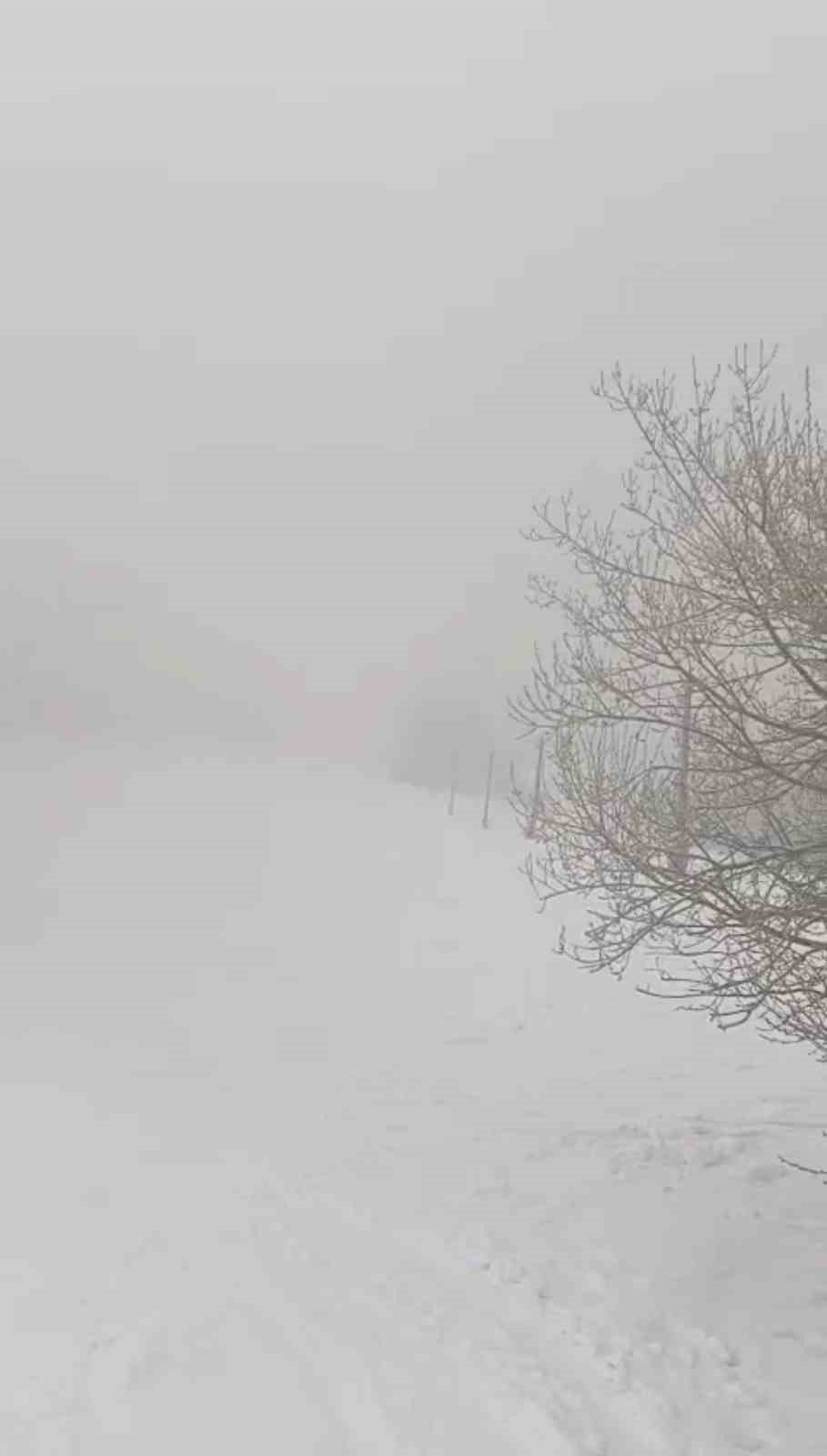 Mart sonunda kar sürprizi