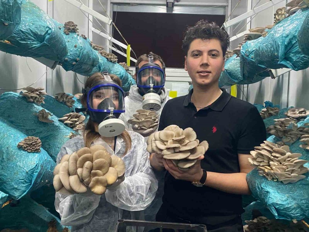 Genç Avukatın Büyük Başarısı: Dev Mantar Tesisi Kurdu!