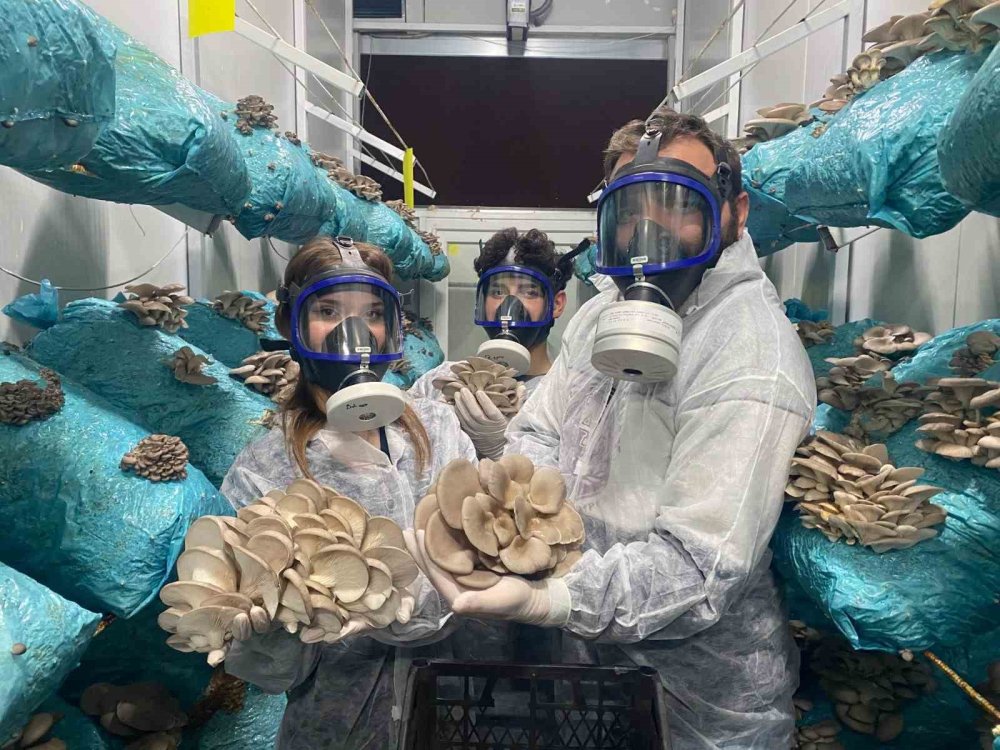 Genç Avukatın Büyük Başarısı: Dev Mantar Tesisi Kurdu!