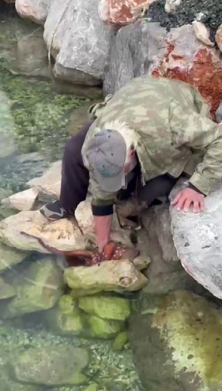 Kayalıktaki dev ahtapotu elleriyle avladı