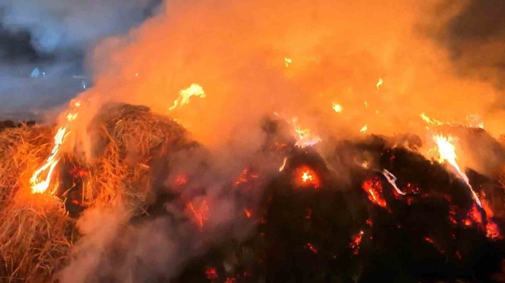 Aksaray'da dumanlar gökyüzünü alevler yeri kapladı