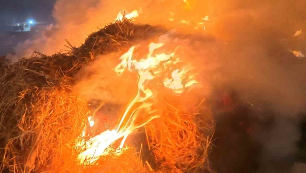 Aksaray'da dumanlar gökyüzünü alevler yeri kapladı