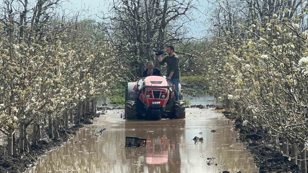 Bursa şeftalileri sular altında kaldı