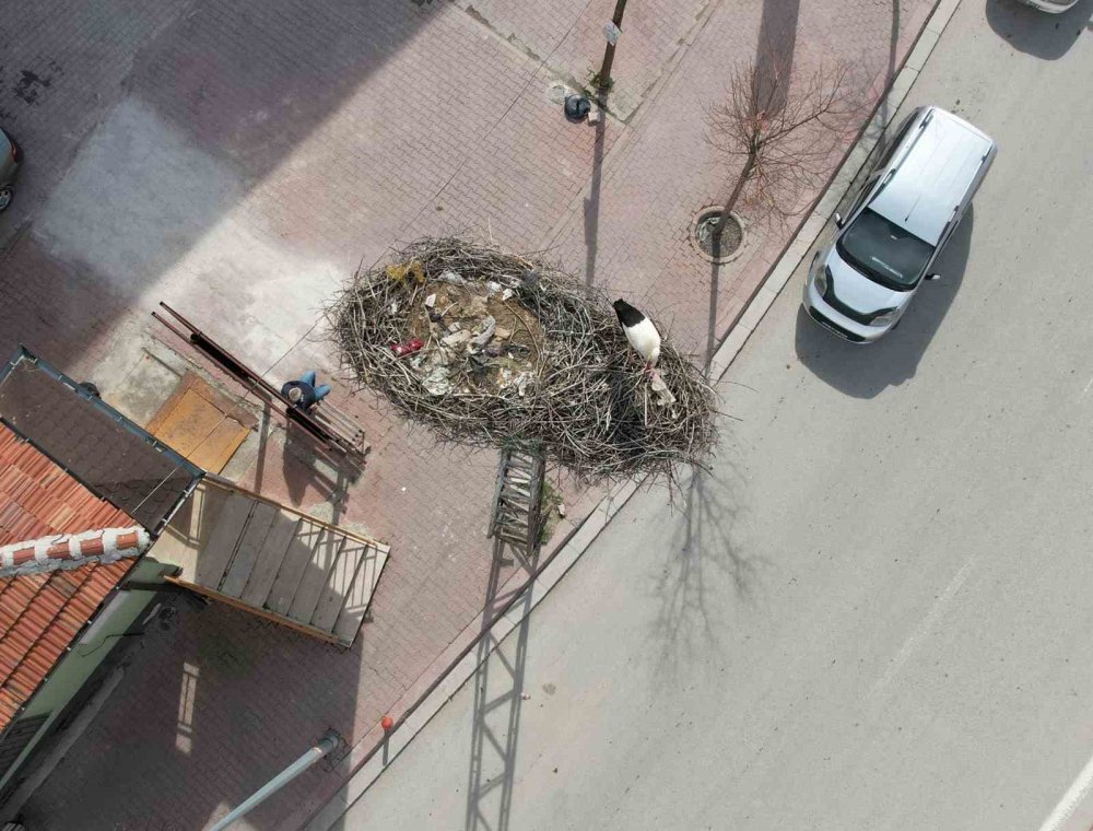 Konya'ya bahar şimdi geldi