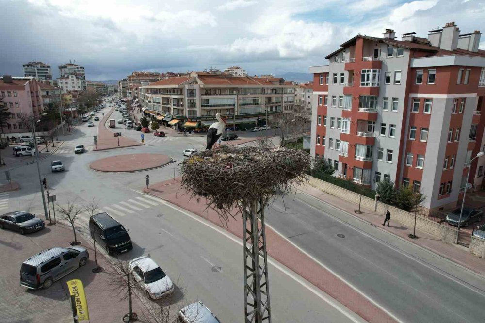 Konya'ya bahar şimdi geldi