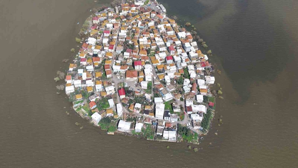 Yağış fazla geldi ağaçlar su altında kaldı