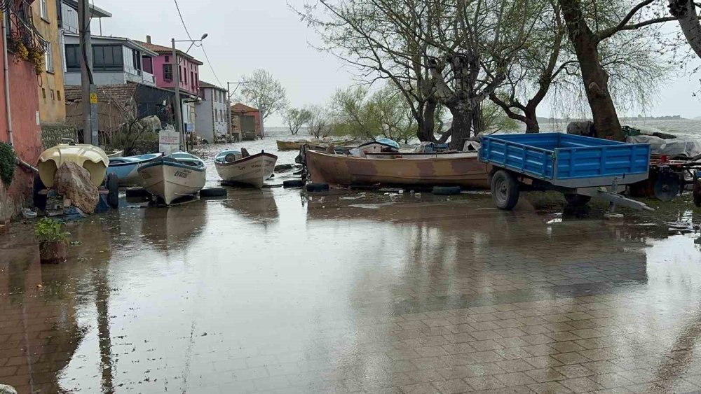 Yağış fazla geldi ağaçlar su altında kaldı