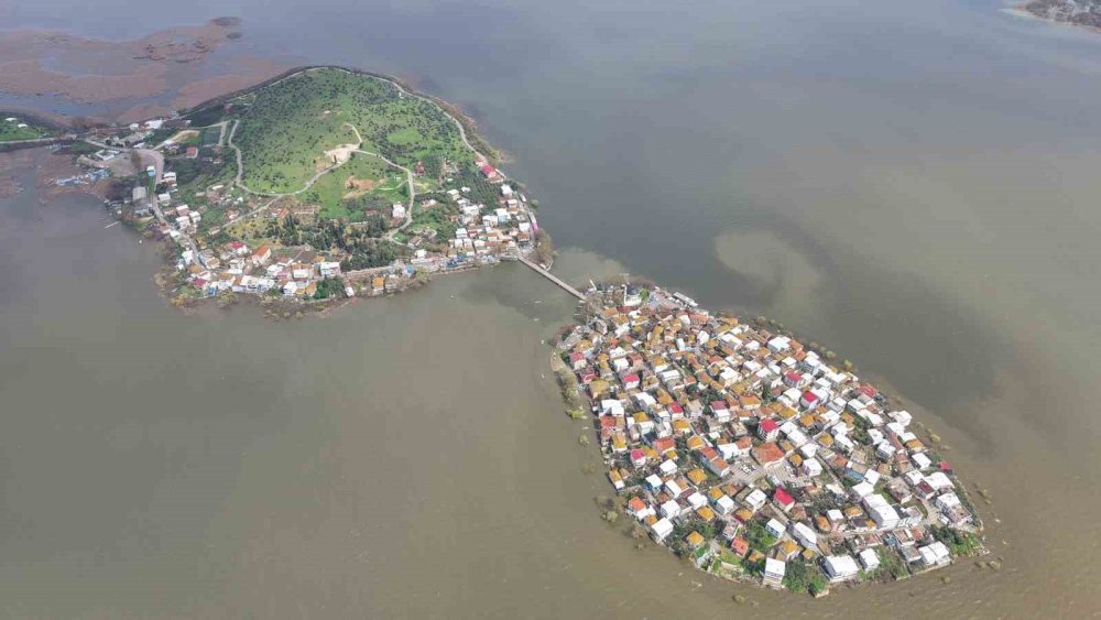 Yağış fazla geldi ağaçlar su altında kaldı
