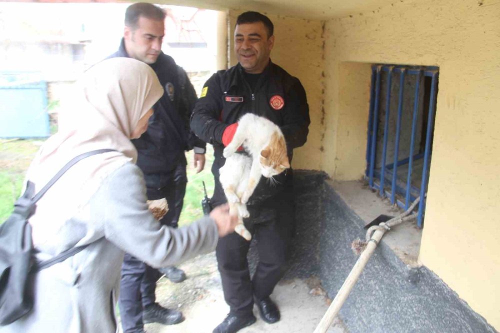 Açlıktan bitkin düşen kediyi itfaiye ekipleri kurtarıldı