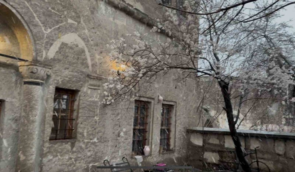 Çiçek açan meyve ağaçlarının üzerine kar yağdı