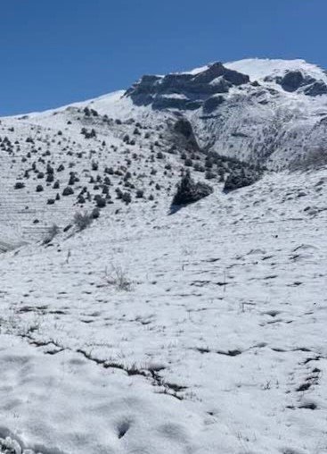 Konya'nın yüksekleri ve uçları beyaz oldu
