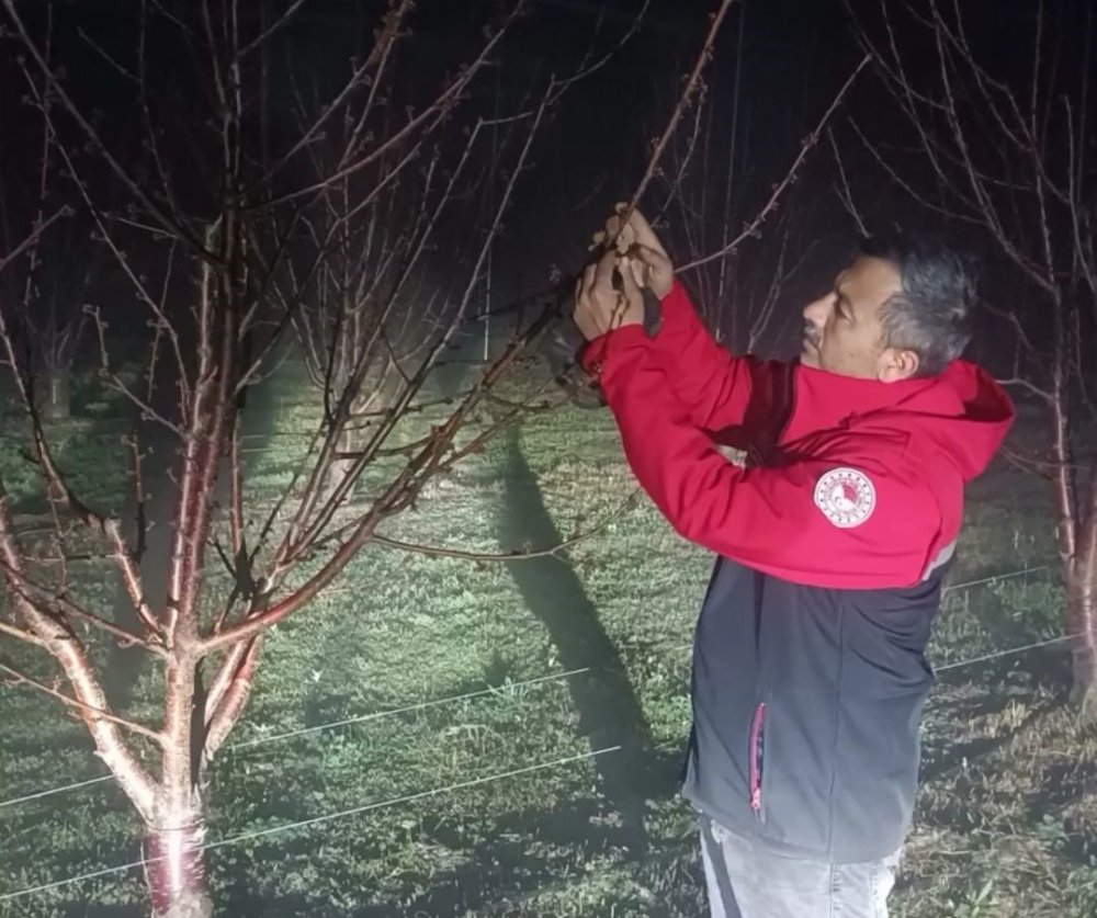 Kiraz bahçelerinde zirai don nöbeti