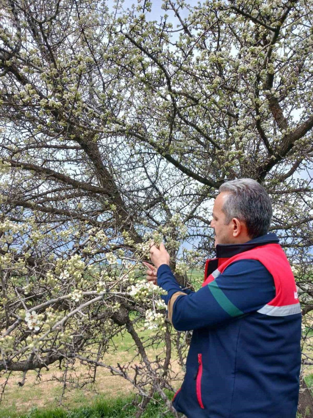 Afyon'da dona karşı nöbet sürüyor