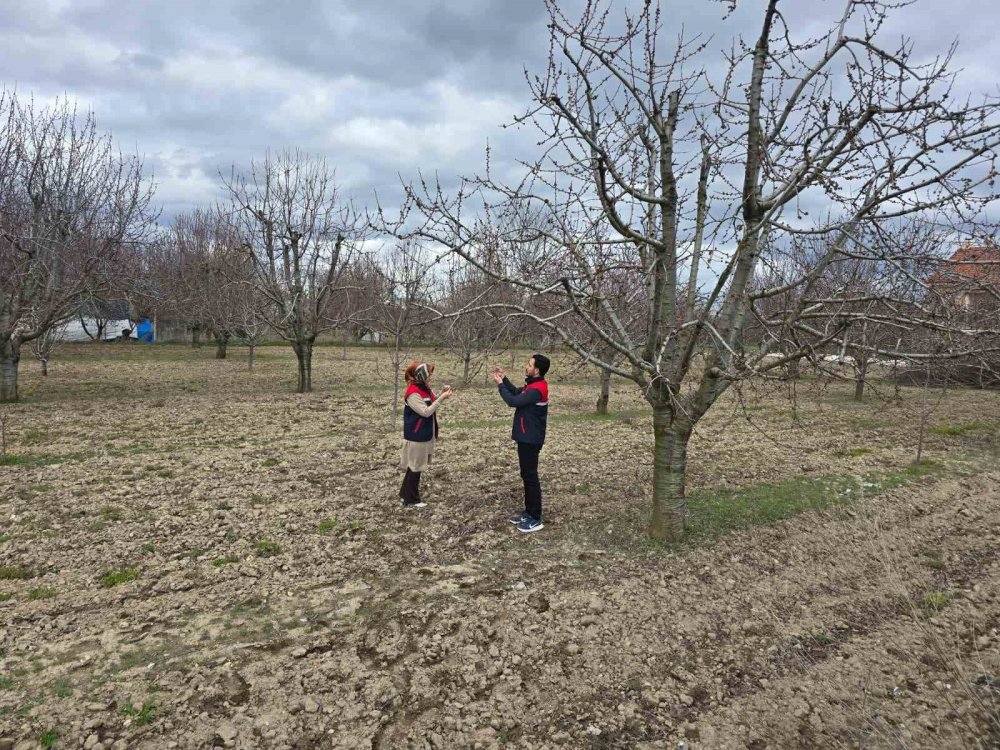 Afyon'da dona karşı nöbet sürüyor