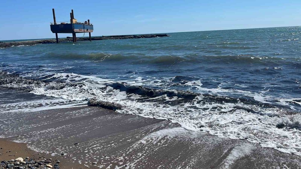 Alanya'da deniz çayırı korkusu! Türkler sahili siyaha boyandı