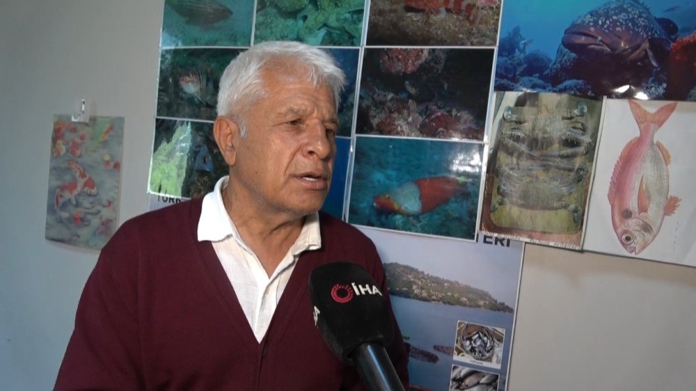 Alanya'da deniz çayırı korkusu! Türkler sahili siyaha boyandı