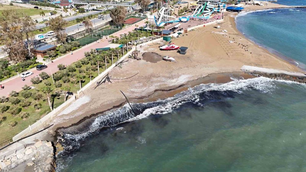 Alanya'da deniz çayırı korkusu! Türkler sahili siyaha boyandı