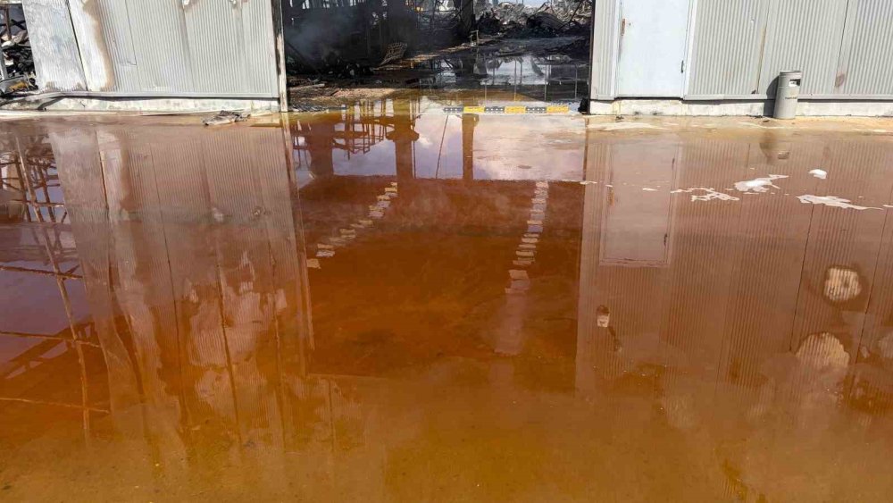 Ankara'daki yangından geriye milyonluk küller kaldı