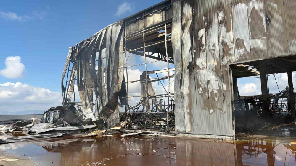 Ankara'daki yangından geriye milyonluk küller kaldı