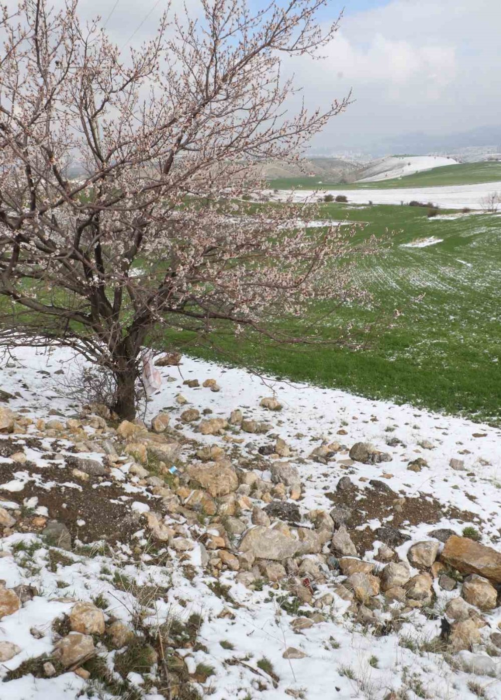 Ankara'nın beyaz örtüsü