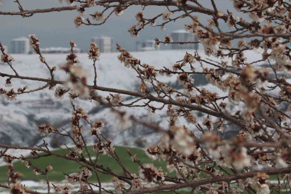 Ankara'nın beyaz örtüsü